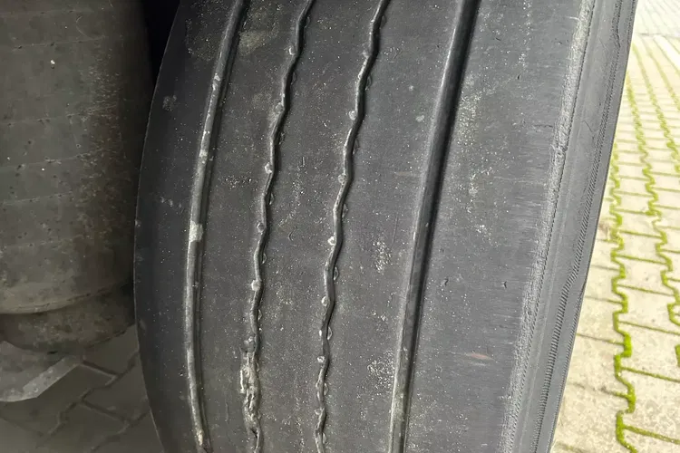 Schmitz - zdjęcie 11