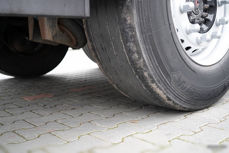 Schmitz -CARGOBULL / FIRANKA / STANDARD / 2 OSIE PODNOSZONE zdjęcie 23