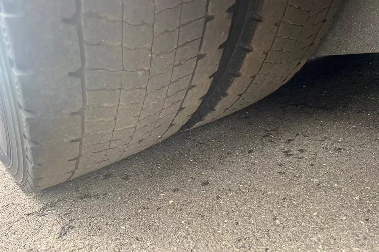 Mercedes 2545 Bigspace , firanka , zdjęcie 11