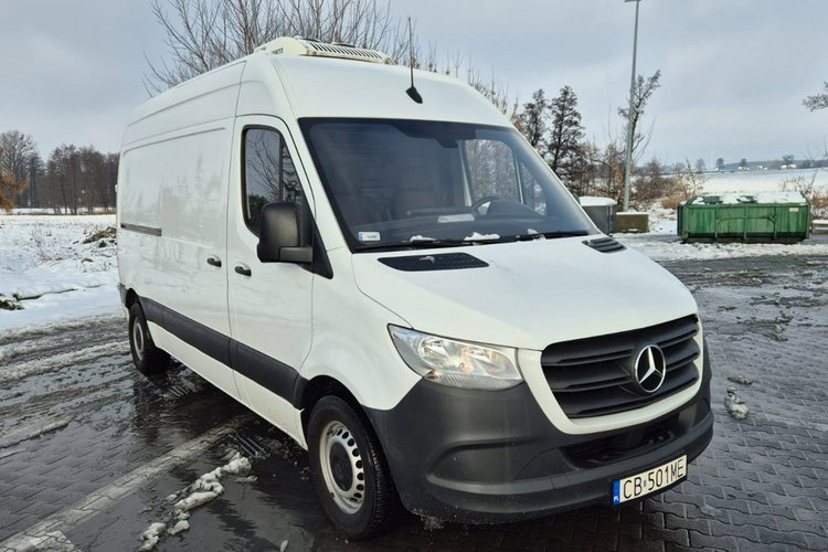 Mercedes Sprinter Chłodnia Polski Salon zdjęcie 1