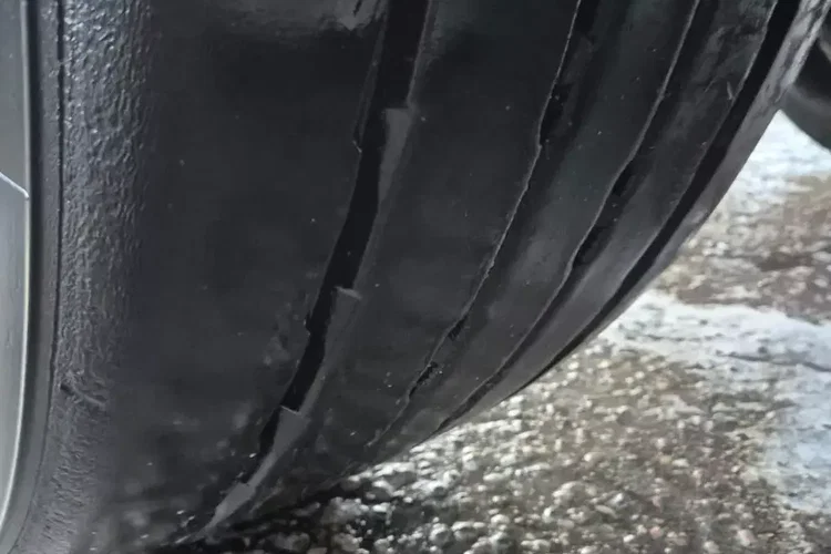 Krone Podkontenerowa zdjęcie 38