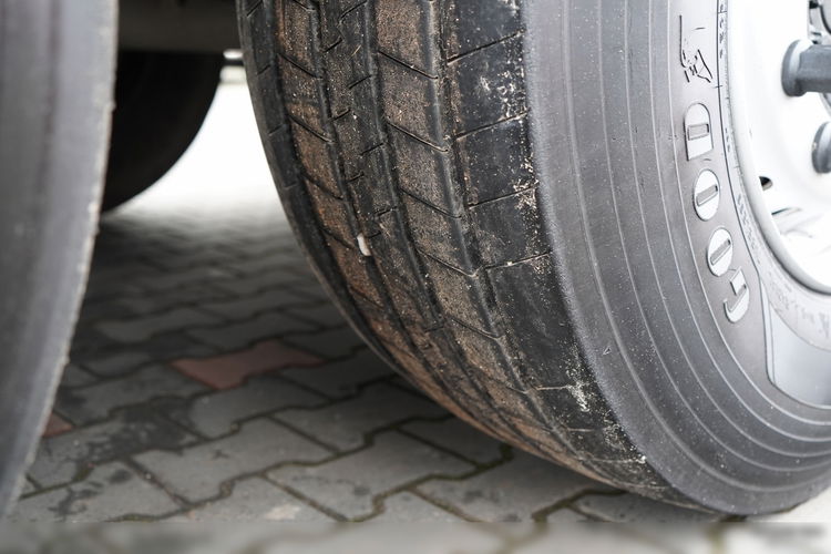 SCHMITZ / CHŁODNIA / THERMO KING  / HAKÓWKA / OŚ PODNOSZONA / KOSZ NA PALETY zdjęcie 23