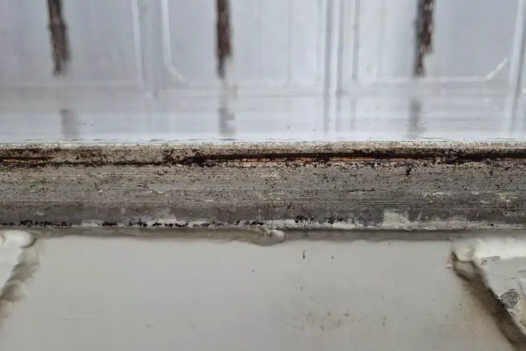 BENALU Wywrotka zdjęcie 31