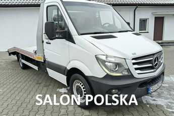 Mercedes Sprinter 2.2cdi Polska Salon, Serwis_Full, Navigacja, Autolaweta, Tempomat.Ledy
