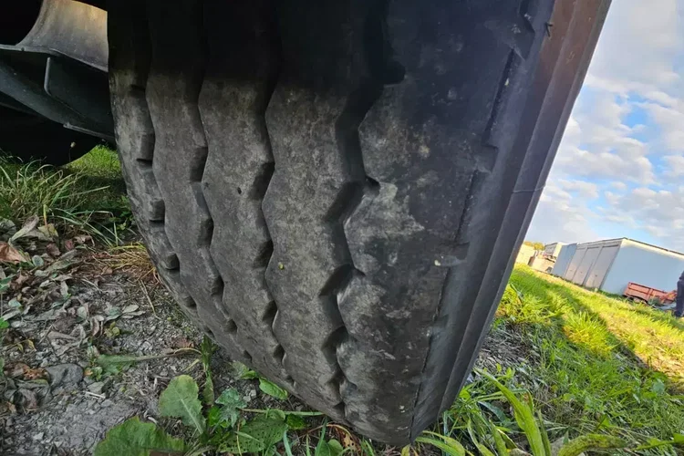 BENALU 50M zdjęcie 20