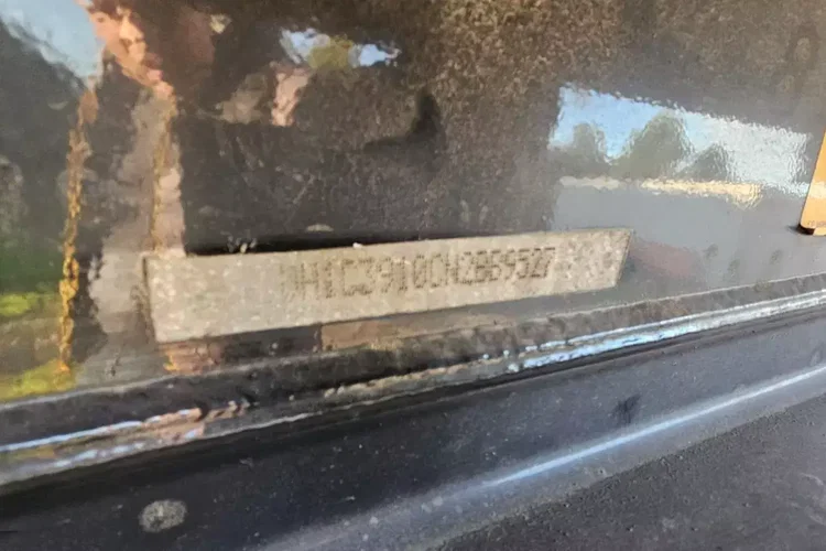 BENALU 50M zdjęcie 28