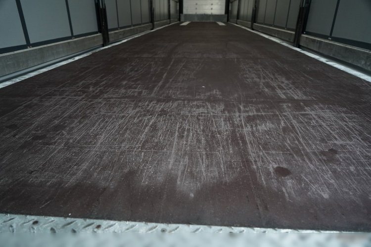 Schmitz -CARGOBULL / FIRANKA / STANDARD / 2 OSIE PODNOSZONE zdjęcie 19