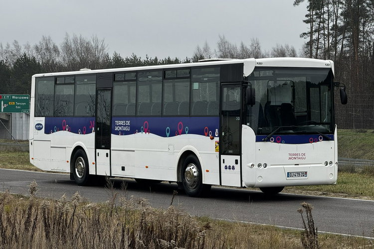 A91 CARRIER , PODMIEJSKI , SZKOLNY AUTOBUS MAN A91 CARRIER Scoler 3 , szkolny , 60 miejsc , sprowadzony zdjęcie 2