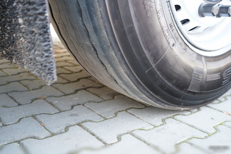 SCHMITZ CARGOBULL / CHŁODNIA / CARRIER VECTOR 1550 / OŚ PODNOSZONA / DOPPELSTOCK / KOSZE NA PALETY   zdjęcie 23