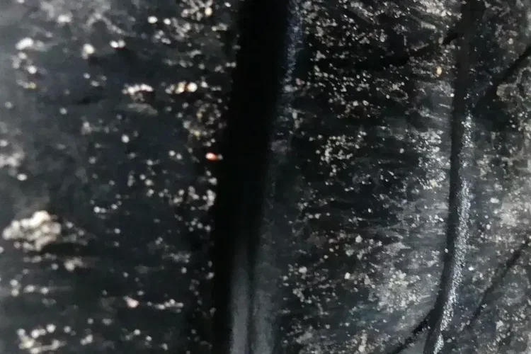 KAESSBOHRER MEGA / FIRANKA / OŚ PODNOSZONA / 3 SZTUKI / zdjęcie 22