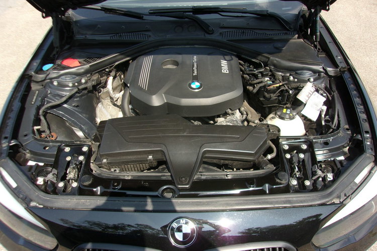 BMW 116 Klimatronic, Ele szyby, Ele lusterka, Manual, 5 drzwi, Podgrz. fotele zdjęcie 33