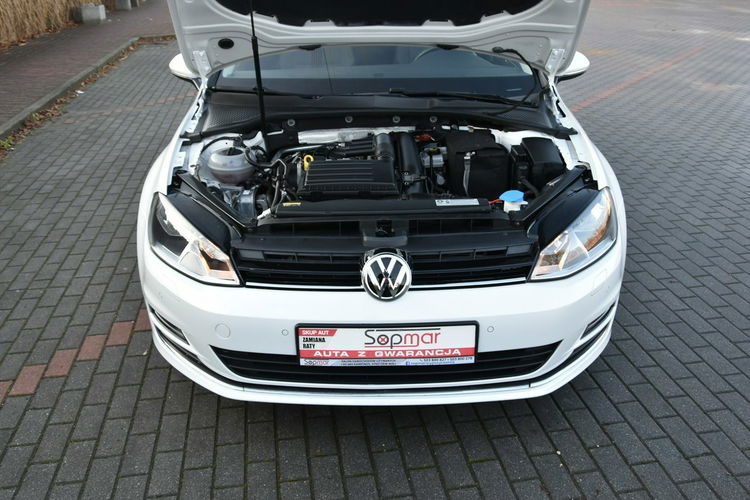 Volkswagen Golf Allstar 1.4TSi 125KM Manual 2017r. Panorama NAVi TEMPOMAT 2xPDC Climat zdjęcie 38