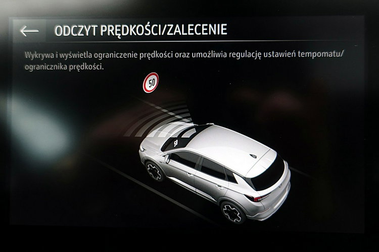 Opel Grandland AUTOMAT+Led+Navi+Kamera+MARTWE POLE 3Lata GWAR. 1wł Kraj Bezwypad F23% 4x2 zdjęcie 30