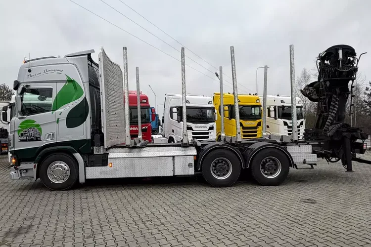 Scania R650 bez EGR pełna opcja palfinger epsilon Z 2x wysów 2018/19 6x4 zdjęcie 10