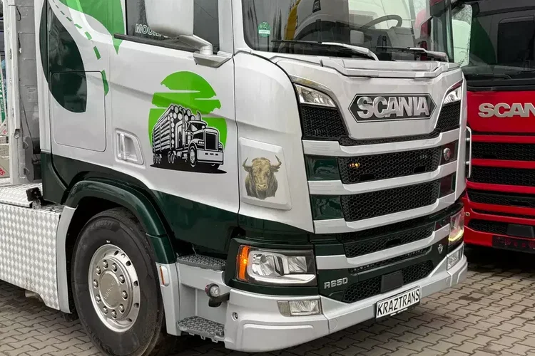Scania R650 bez EGR pełna opcja palfinger epsilon Z 2x wysów 2018/19 6x4 zdjęcie 18