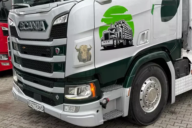 Scania R650 bez EGR pełna opcja palfinger epsilon Z 2x wysów 2018/19 6x4 zdjęcie 19