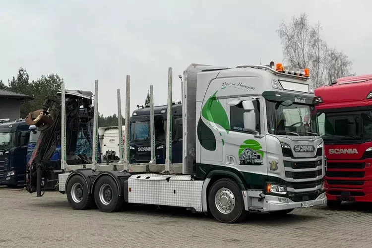 Scania R650 bez EGR pełna opcja palfinger epsilon Z 2x wysów 2018/19 6x4 zdjęcie 2
