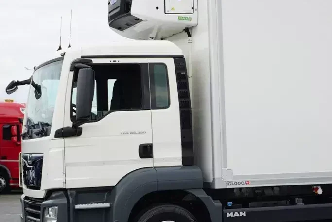 MAN TGS / 26.360 / EURO 6 / CHŁODNIA + WINDA / 23 PALETY zdjęcie 24