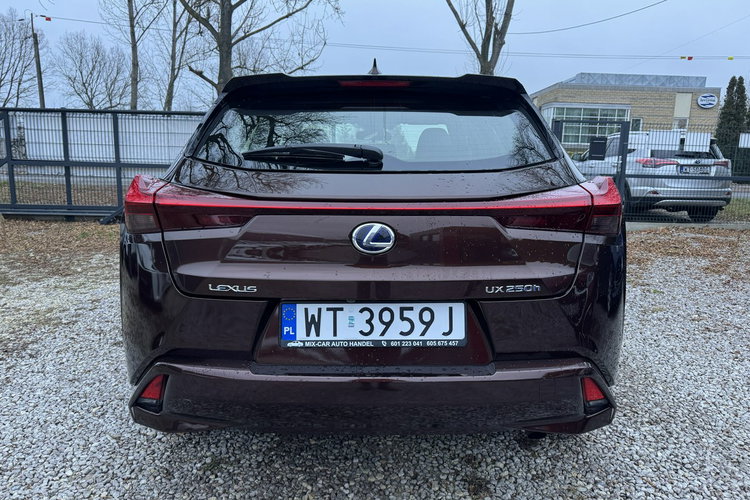 Lexus UX 250H 43 tyś km Ast. Pasa Distronic kamera Super zdjęcie 6