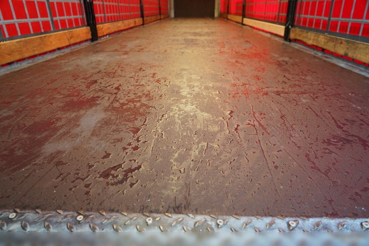 Schmitz -CARGOBULL / FIRANKA / STANDARD / PLANDEKA ZBROJONA  zdjęcie 20