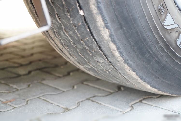 SCHMITZ CARGOBULL / CHŁODNIA / CARRIER VECTOR 1550 / OŚ PODNOSZONA / DOPPELSTOCK / KOSZE NA PALETY zdjęcie 22