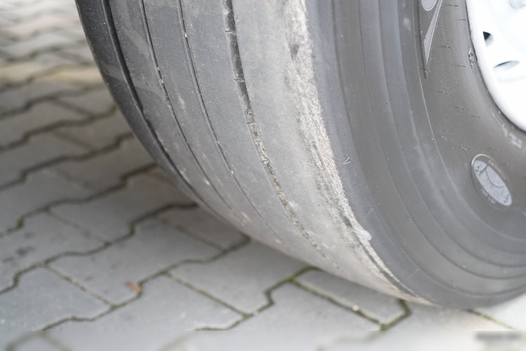 SCHMITZ CARGOBULL / CHŁODNIA / CARRIER VECTOR 1550  / DOPPELSTOCK / KOSZ NA PALETY zdjęcie 22