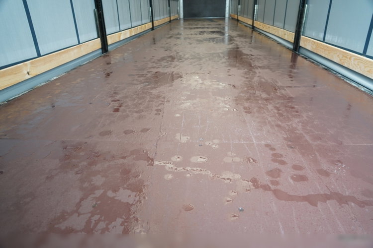 KAESSBOHRER FIRANKA / MEGA / DACH PODNOSZONY / LOW DECK / 2021 zdjęcie 19