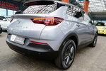 Opel Grandland AUTOMAT+Led+NAav+Kamera+MARTWE Pole 3Lata GWAR. 1wł Kraj Bezwypad F23% 4x2 zdjęcie 8