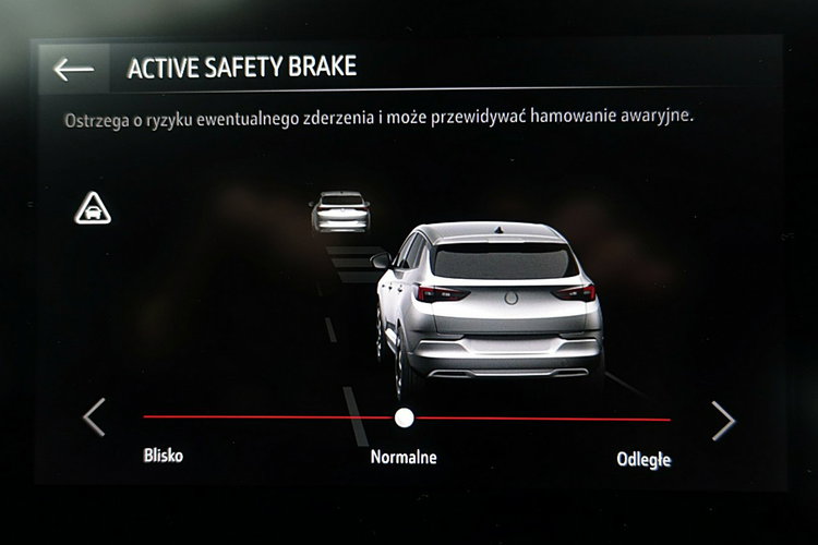 Opel Grandland AUTOMAT+Led+NAav+Kamera+MARTWE Pole 3Lata GWAR. 1wł Kraj Bezwypad F23% 4x2 zdjęcie 27