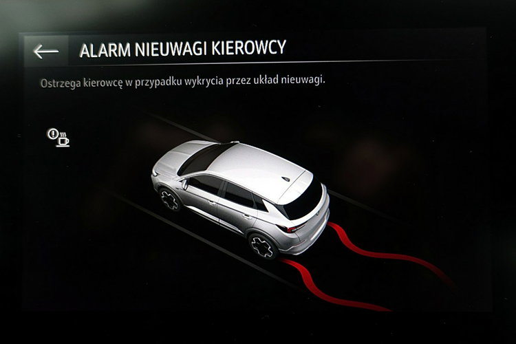 Opel Grandland AUTOMAT+Led+NAav+Kamera+MARTWE Pole 3Lata GWAR. 1wł Kraj Bezwypad F23% 4x2 zdjęcie 29