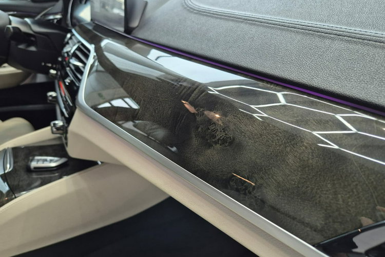 6GT BMW 6GT Najbogatsza wersja, Unikatowy, Luxury LINE zdjęcie 29