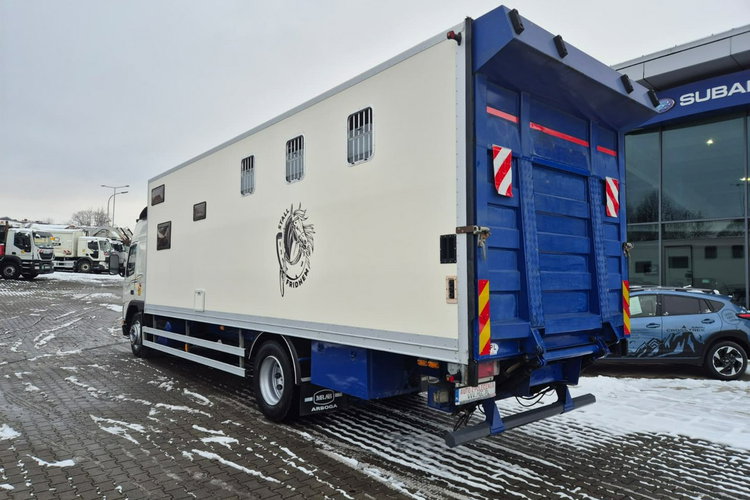 FM7 - DO BYDŁA I KONI Volvo FM 7 / DO PRZEWOZU BYDŁA I KONI / 5 MIEJSC DLA KONI zdjęcie 10