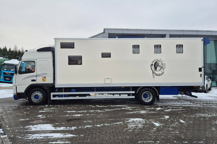 FM7 - DO BYDŁA I KONI Volvo FM 7 / DO PRZEWOZU BYDŁA I KONI / 5 MIEJSC DLA KONI zdjęcie 11