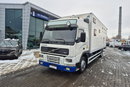 FM7 - DO BYDŁA I KONI Volvo FM 7 / DO PRZEWOZU BYDŁA I KONI / 5 MIEJSC DLA KONI zdjęcie 2