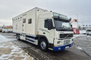 FM7 - DO BYDŁA I KONI Volvo FM 7 / DO PRZEWOZU BYDŁA I KONI / 5 MIEJSC DLA KONI zdjęcie 4