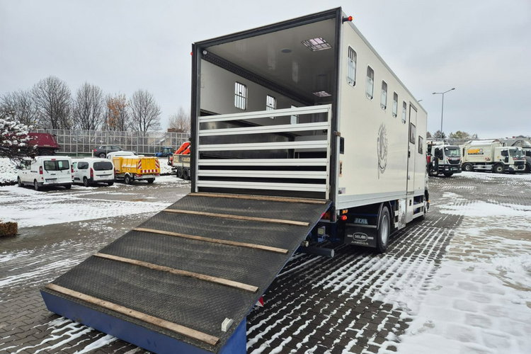 FM7 - DO BYDŁA I KONI Volvo FM 7 / DO PRZEWOZU BYDŁA I KONI / 5 MIEJSC DLA KONI zdjęcie 42