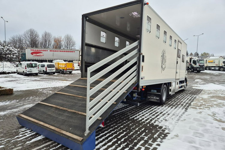 FM7 - DO BYDŁA I KONI Volvo FM 7 / DO PRZEWOZU BYDŁA I KONI / 5 MIEJSC DLA KONI zdjęcie 43