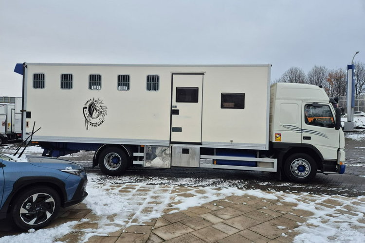 FM7 - DO BYDŁA I KONI Volvo FM 7 / DO PRZEWOZU BYDŁA I KONI / 5 MIEJSC DLA KONI zdjęcie 6