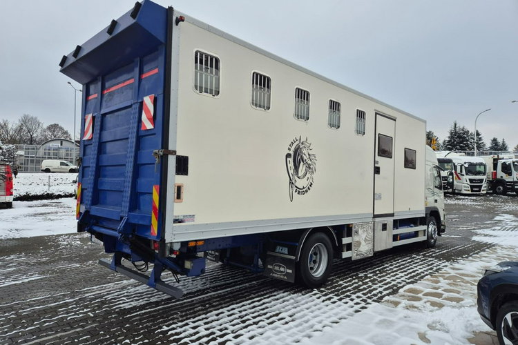 FM7 - DO BYDŁA I KONI Volvo FM 7 / DO PRZEWOZU BYDŁA I KONI / 5 MIEJSC DLA KONI zdjęcie 7