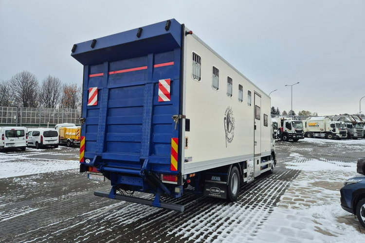 FM7 - DO BYDŁA I KONI Volvo FM 7 / DO PRZEWOZU BYDŁA I KONI / 5 MIEJSC DLA KONI zdjęcie 8