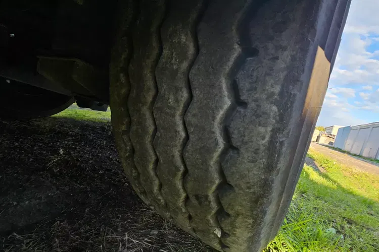 BENALU 50M zdjęcie 20