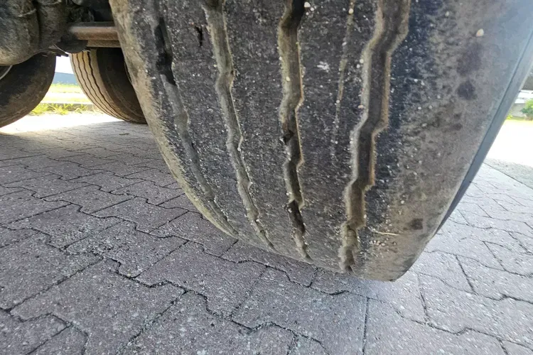 CARNEHL CHKS/A 52M zdjęcie 7