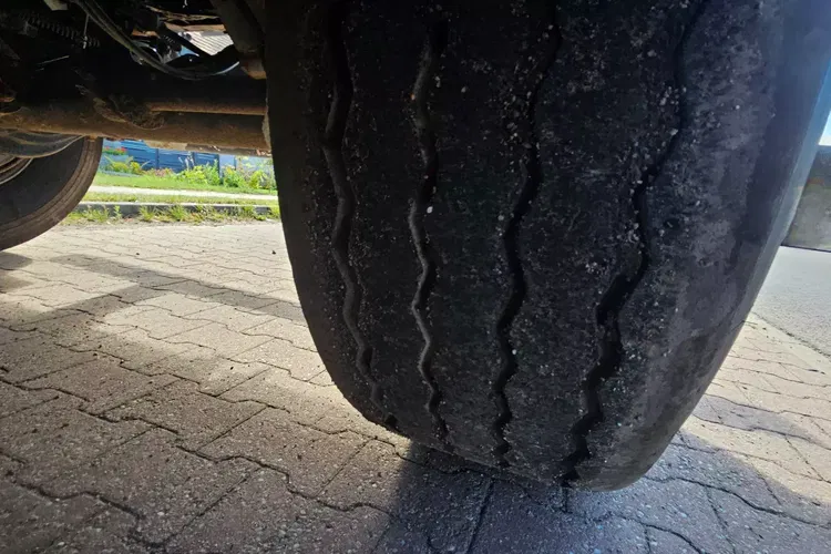 CARNEHL CHKS/A 52M zdjęcie 9