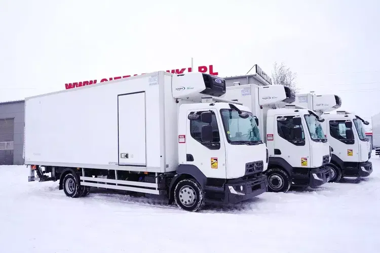 Renault D210 12T / Chłodnia Bitemperatura / 3 sztuki / 70 tys.km zdjęcie 2