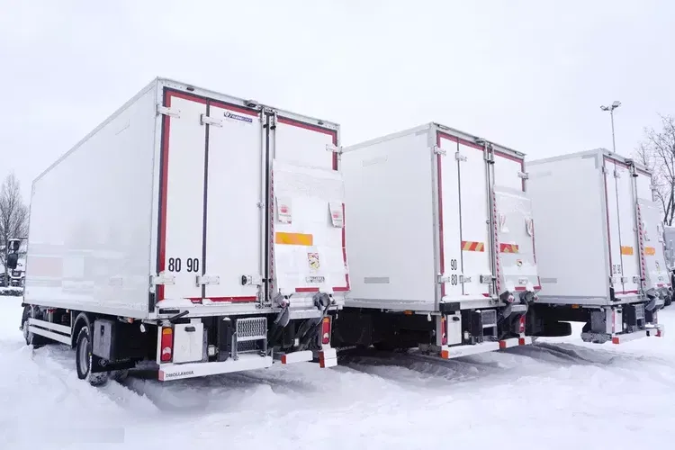 Renault D210 12T / Chłodnia Bitemperatura / 3 sztuki / 70 tys.km zdjęcie 5