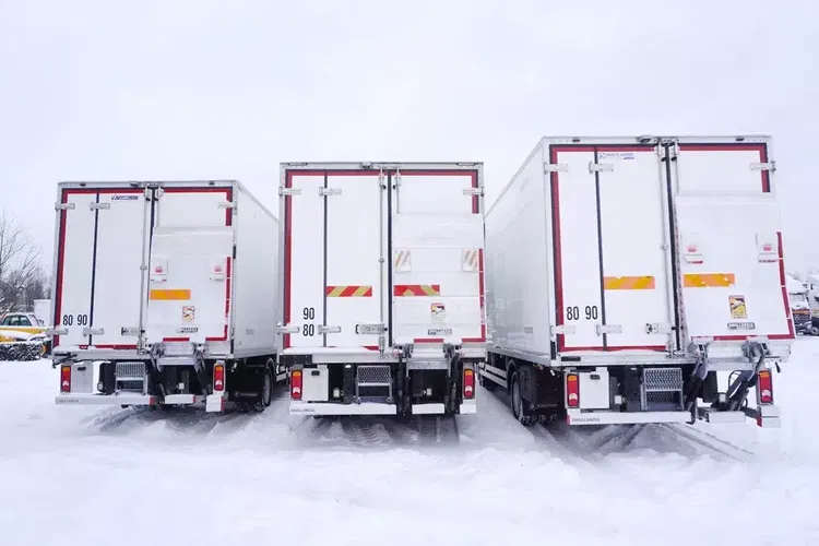 Renault D210 12T / Chłodnia Bitemperatura / 3 sztuki / 70 tys.km zdjęcie 6