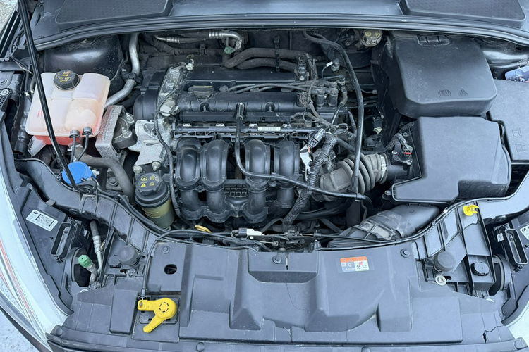 Ford Focus Klimatyzacja, PL salon, Pierwzy właściciel, 2 kpl. kół zdjęcie 26