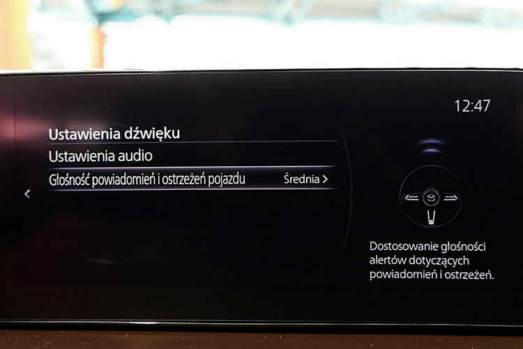 Mazda CX-30 4x4 Automat HIKARI PEŁNA OPCJA Skóra GWARANCJA Krajowy Bezwypadkowy zdjęcie 42