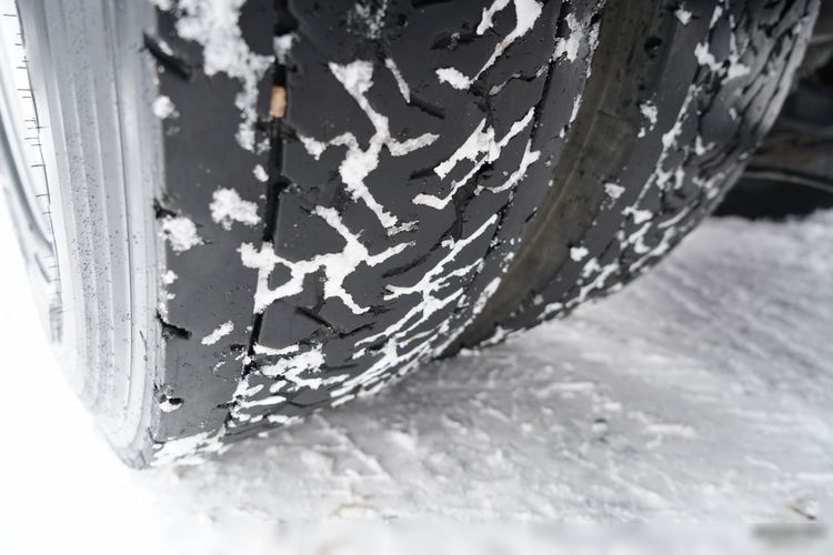 MAN TGS 18. 440 / NISKA KABINA   zdjęcie 19