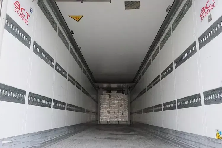 Schmitz / CHŁODNIA / CARRIER VECTOR 1550 / OŚ PODNOSZONA zdjęcie 26